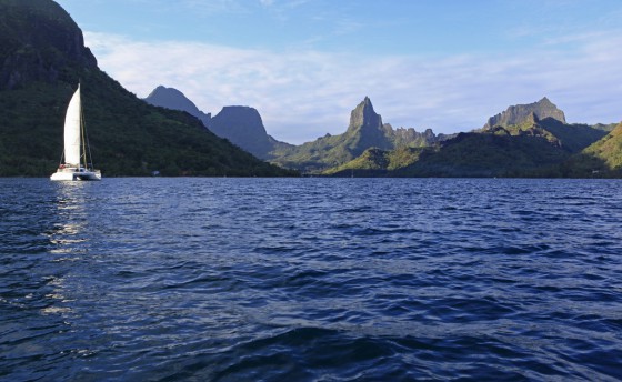 В дальнем южном море...